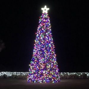 Christmas on Amelia Island